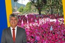 AGORA É LEI: “Caminhada Outubro Rosa da APPO” é reconhecida como Patrimônio Cultural Imaterial de Petrópolis