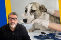 Agora é Lei: Petrópolis inclui médico veterinário na equipe da Atenção Primária à Saúde