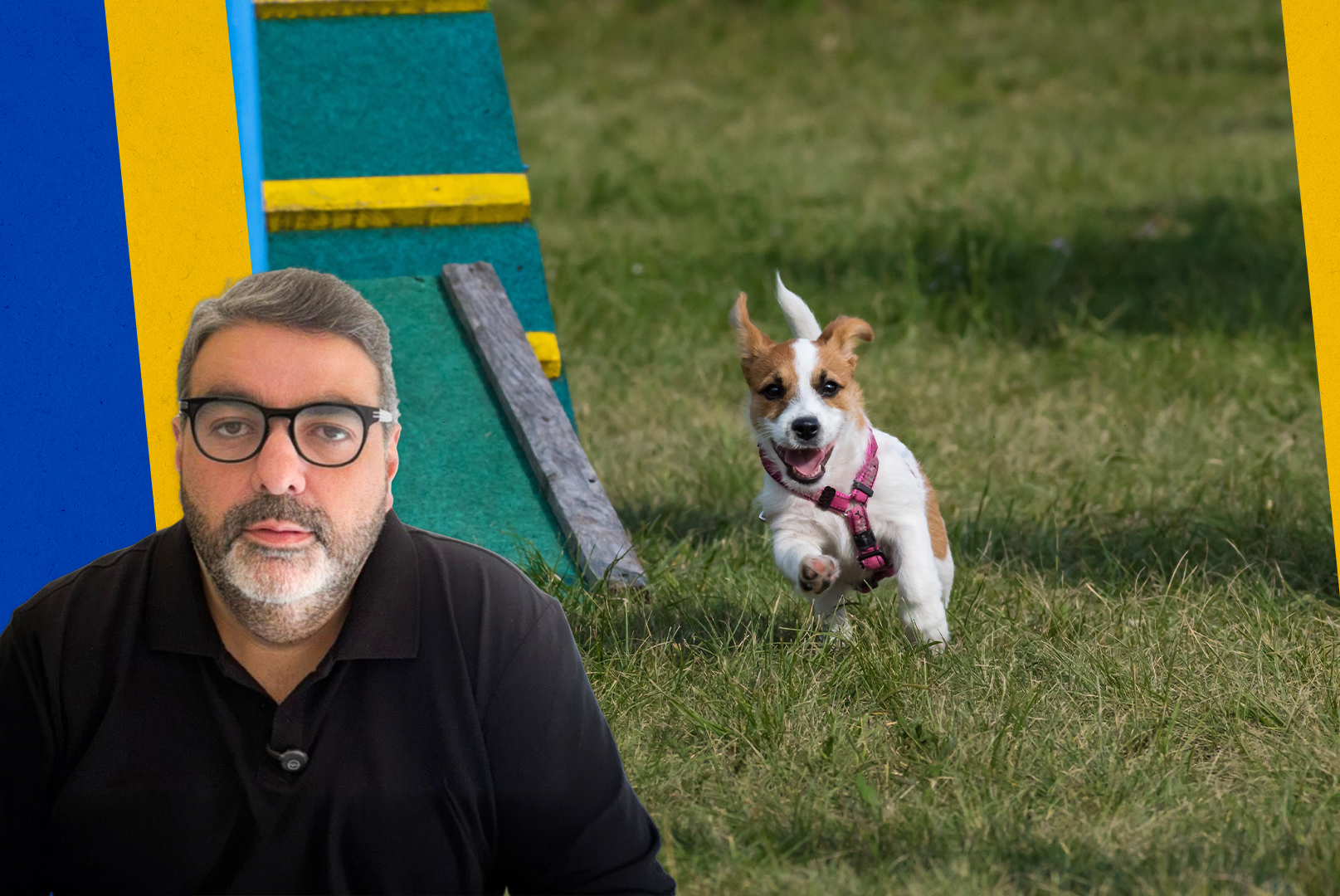 Agora é Lei: Praças e parques de Petrópolis deverão ter áreas pet para convivência e lazer de animais domésticos