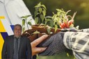 Aprovado projeto de lei que institui a Política Municipal de Agroecologia, Produção Orgânica e Alimentação Saudável Aprovado projeto de lei que institui a Política Municipal de Agroecologia, Produção Orgânica e Alimentação Saudável