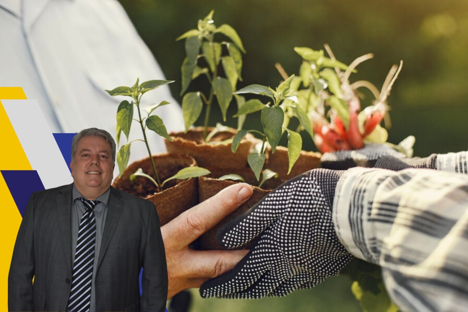 Aprovado projeto de lei que institui a Política Municipal de Agroecologia, Produção Orgânica e Alimentação Saudável