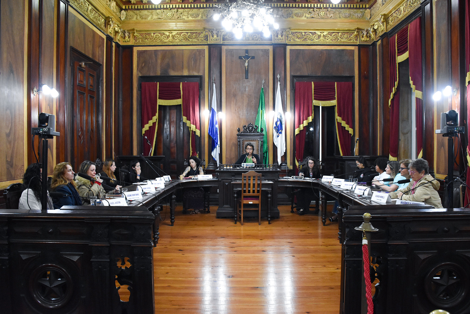 Audiência Pública discute desmonte das políticas públicas para mulheres e celebra os 19 anos da Lei Maria da Penha