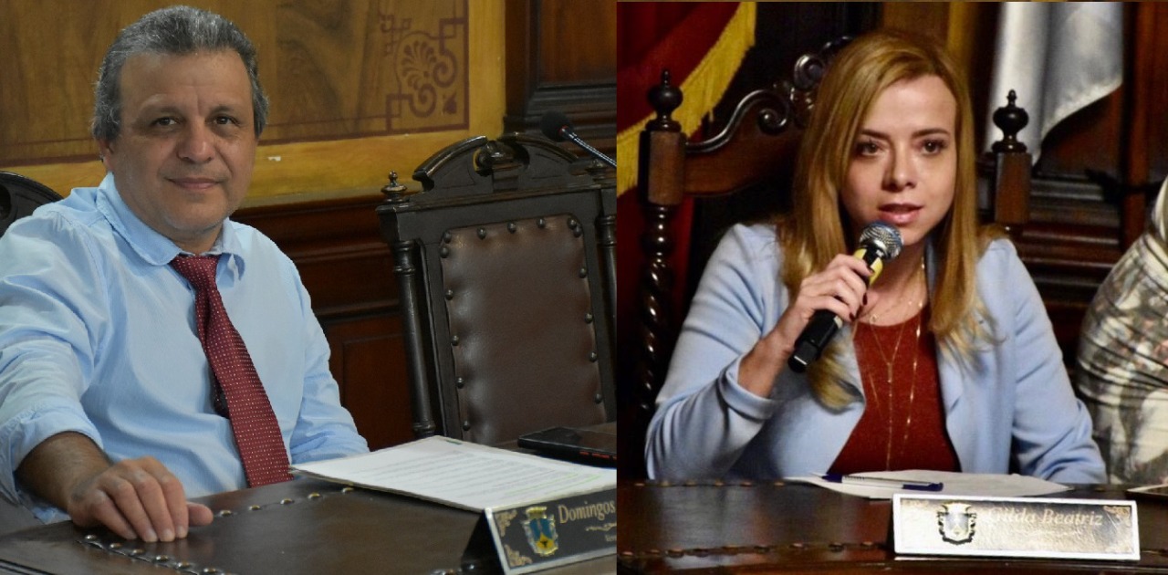 Câmara aprova aplicação de microchips em animais