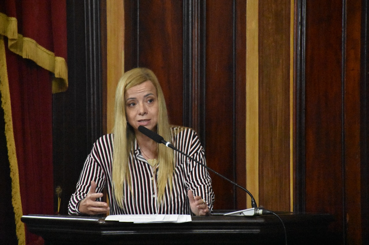 Câmara aprova criação de Núcleo de Atendimento Multidisciplinar para pessoas com deficiência