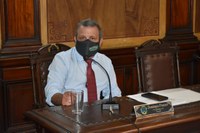 Câmara aprova projeto de lei para que motoristas prestem socorro imediato a animais atropelados