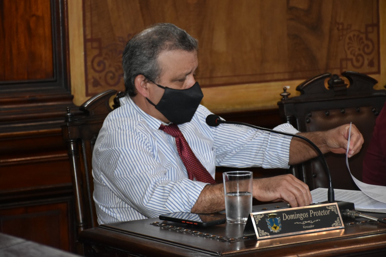 Câmara Municipal aprova criação de protocolo de cuidados com as árvores de Petrópolis