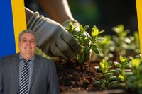 Câmara Municipal aprova Indicação Legislativa para criação do Programa Produtor Legal