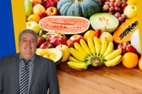 Câmara propõe Programa Municipal de Incentivo à Fruticultura em Petrópolis