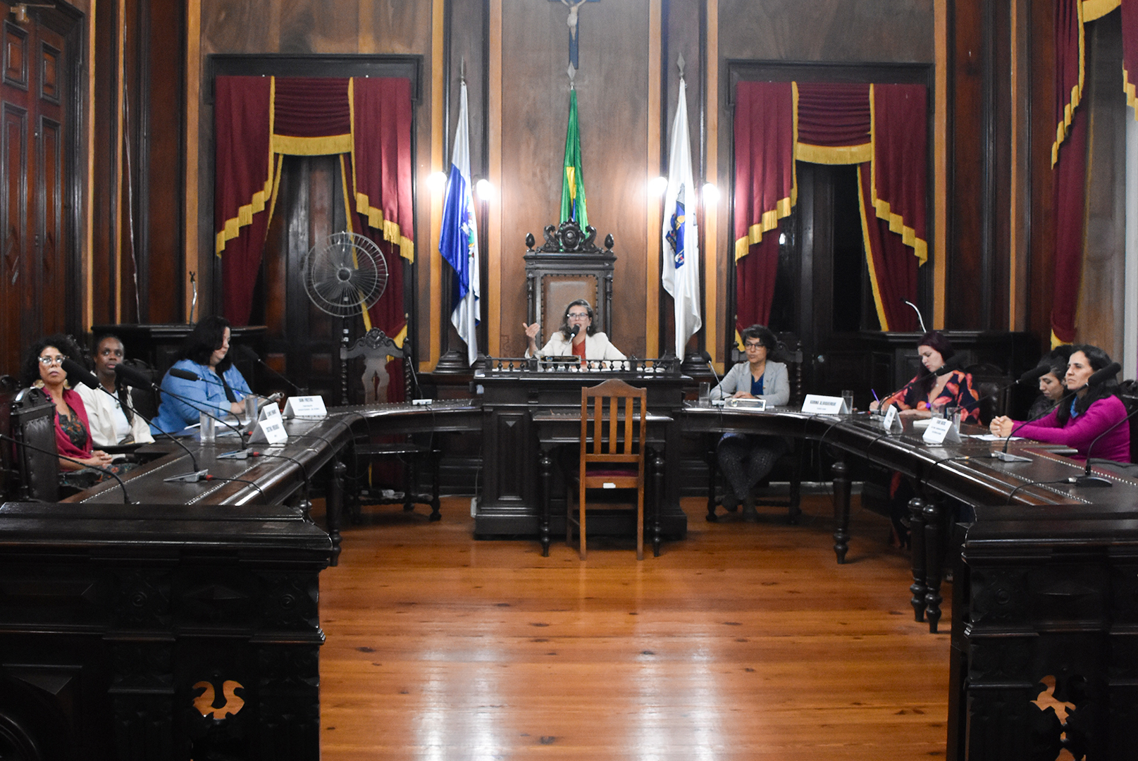 Combate à violência infantil mobiliza debate na Câmara de Petrópolis