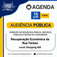 Comissão de Segurança Pública promove audiência para discutir a Recuperação Econômica da Rua Teresa