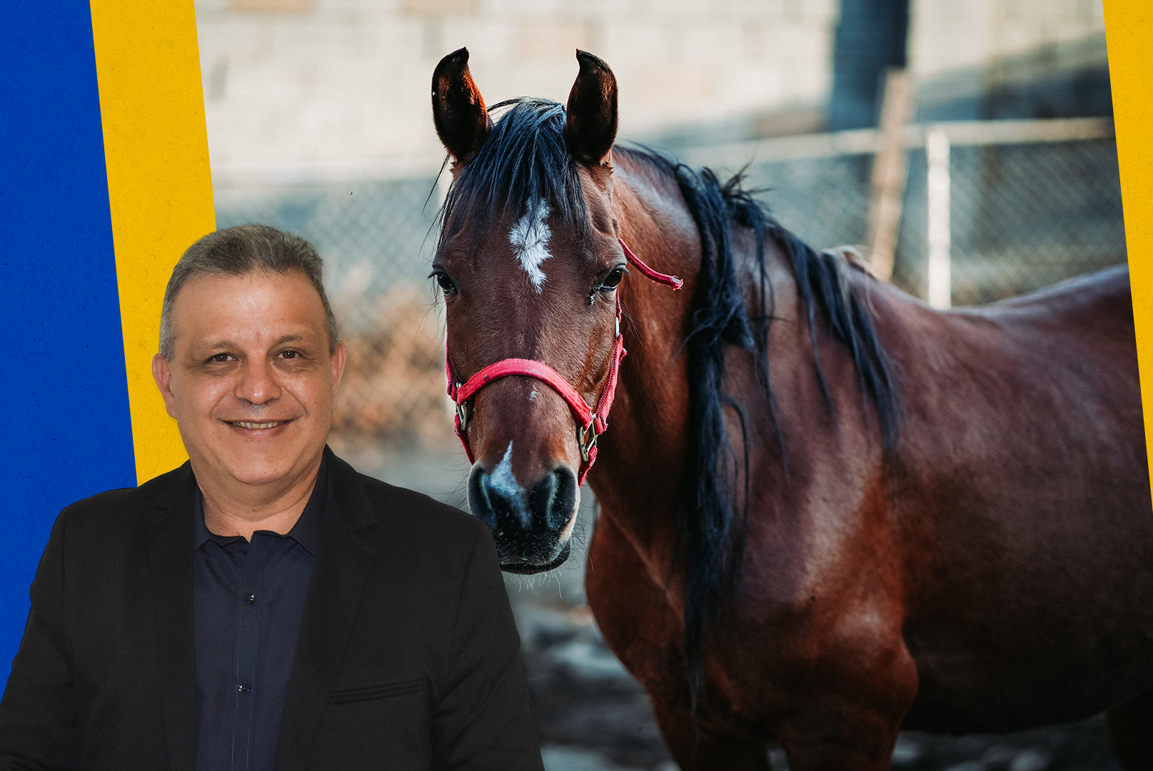 Lei de animais de grande porte pode ganhar novas regras