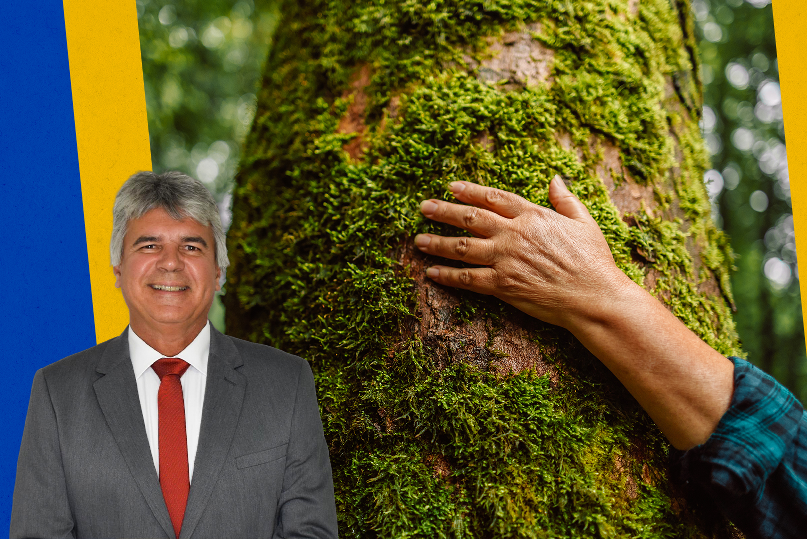 Petrópolis institui a Campanha Junho Verde para promover a conscientização ambiental