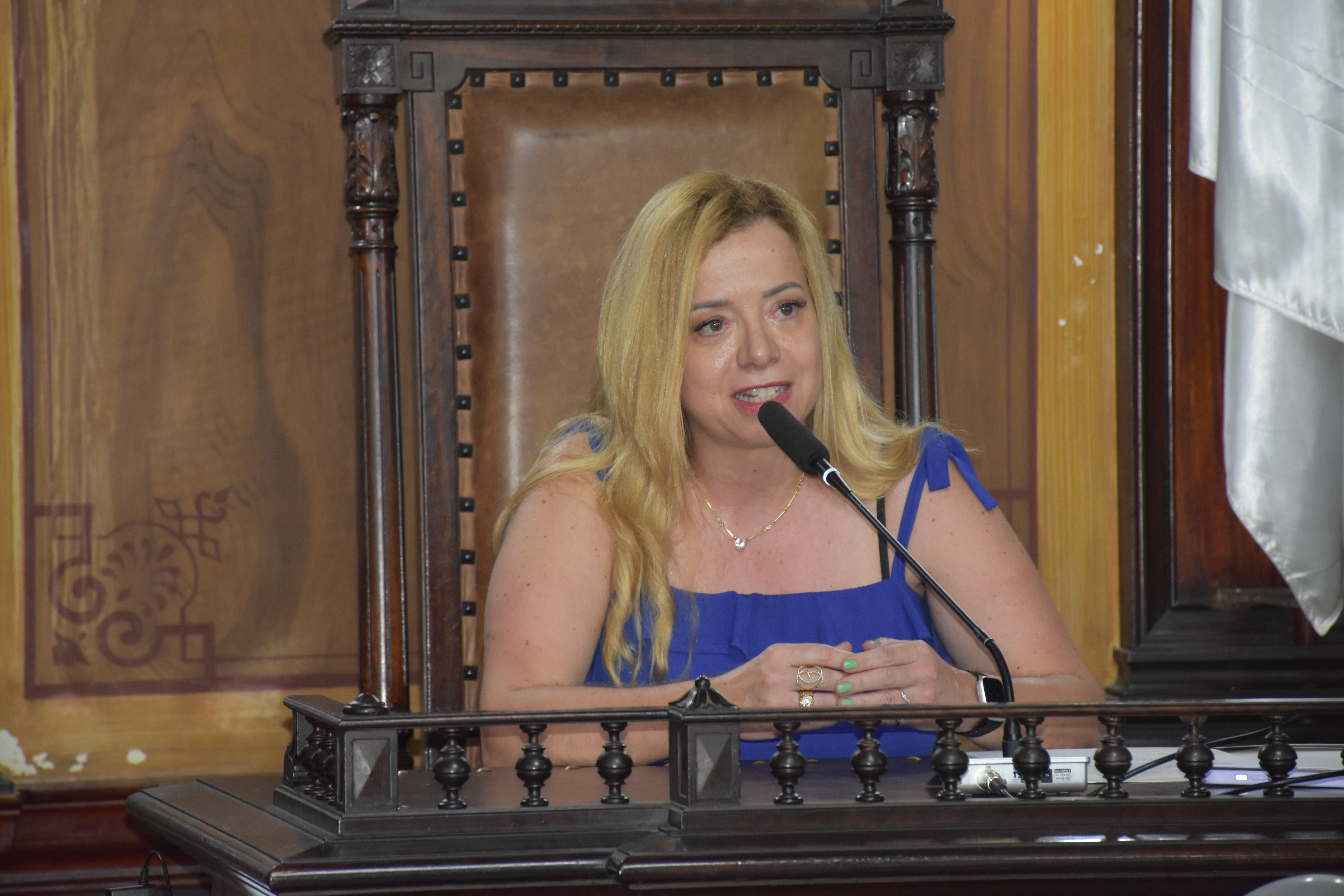 Projeto aprovado na Câmara Municipal prevê semana de prevenção ao alcoolismo entre mulheres