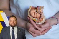 Projeto de Lei institui Marcha Pró-Vida no calendário oficial do Município