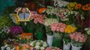 Projeto de lei para criação do Espaço das Flores é aprovado em Petrópolis Projeto de lei para criação do Espaço das Flores é aprovado em Petrópolis