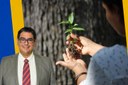 Projeto de Lei poderá incluir o “Dia Municipal do Plantio de Árvores” no calendário oficial