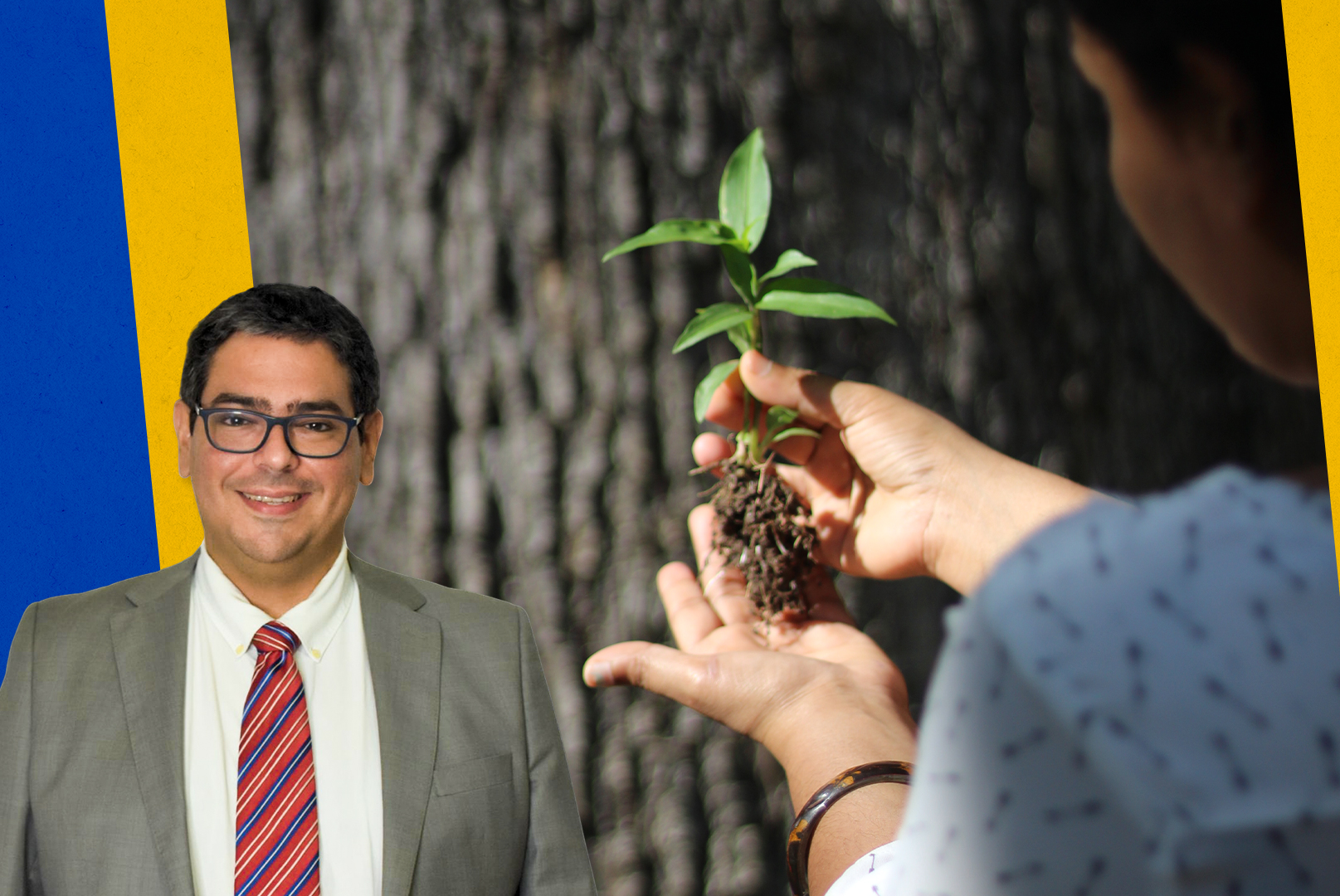 Projeto de Lei poderá incluir o “Dia Municipal do Plantio de Árvores” no calendário oficial