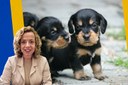 Projeto de Lei propõe ações permanentes de controle populacional e proteção aos animais