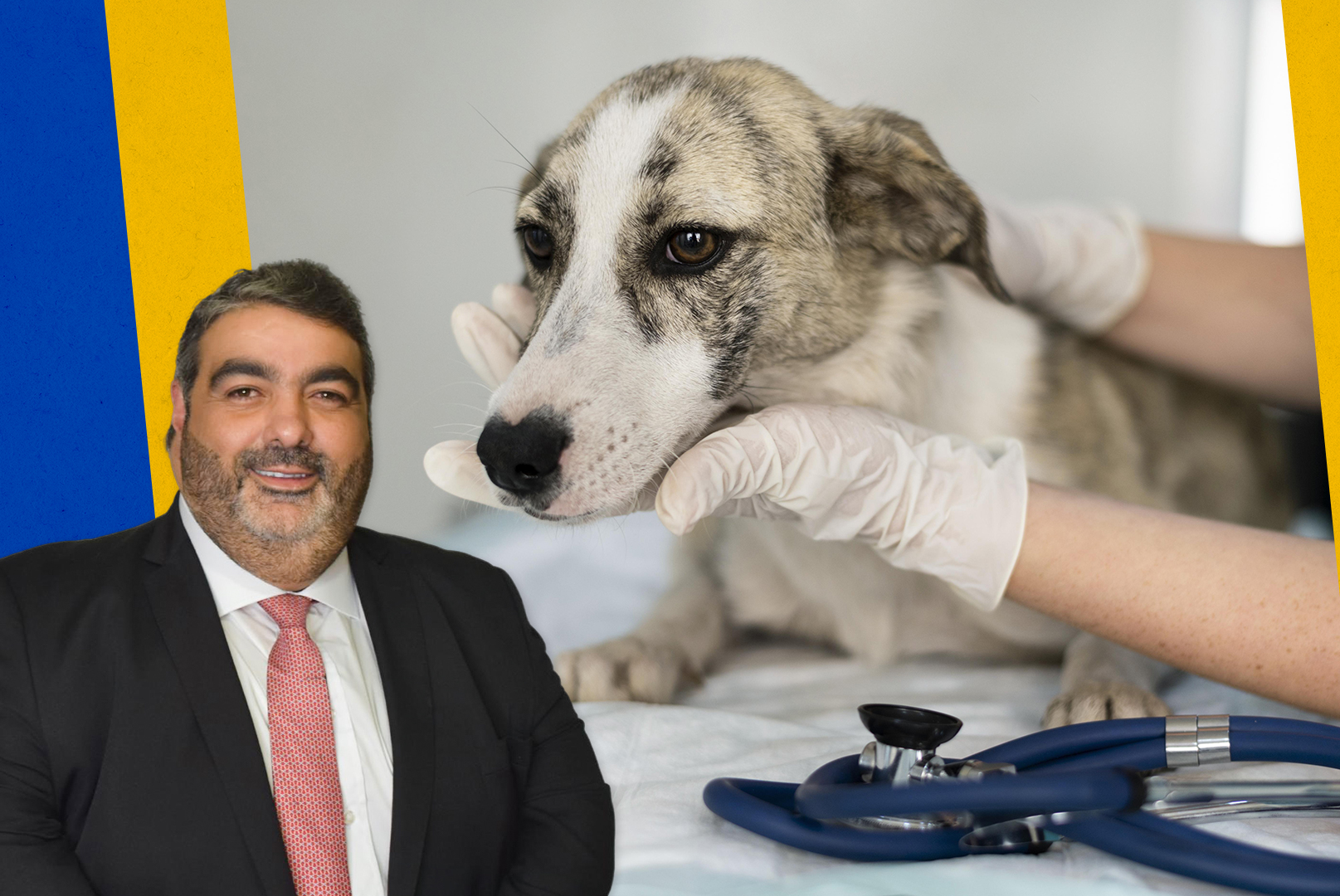 Projeto de Lei propõe inclusão de médico veterinário na Atenção Primária à Saúde de Petrópolis