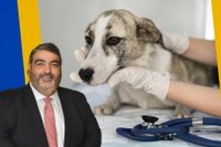 Projeto de Lei propõe inclusão de médico veterinário na Atenção Primária à Saúde de Petrópolis