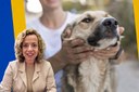 Projeto de lei que prevê divulgação de demandas e denúncias de bem-estar animal no portal da transparência de Petrópolis é aprovado Projeto de lei que prevê divulgação de demandas e denúncias de bem-estar animal no portal da transparência de Petrópolis é aprovado