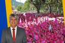 Projeto de Lei reconhece Caminhada Outubro Rosa da APPO como Patrimônio Cultural de Petrópolis