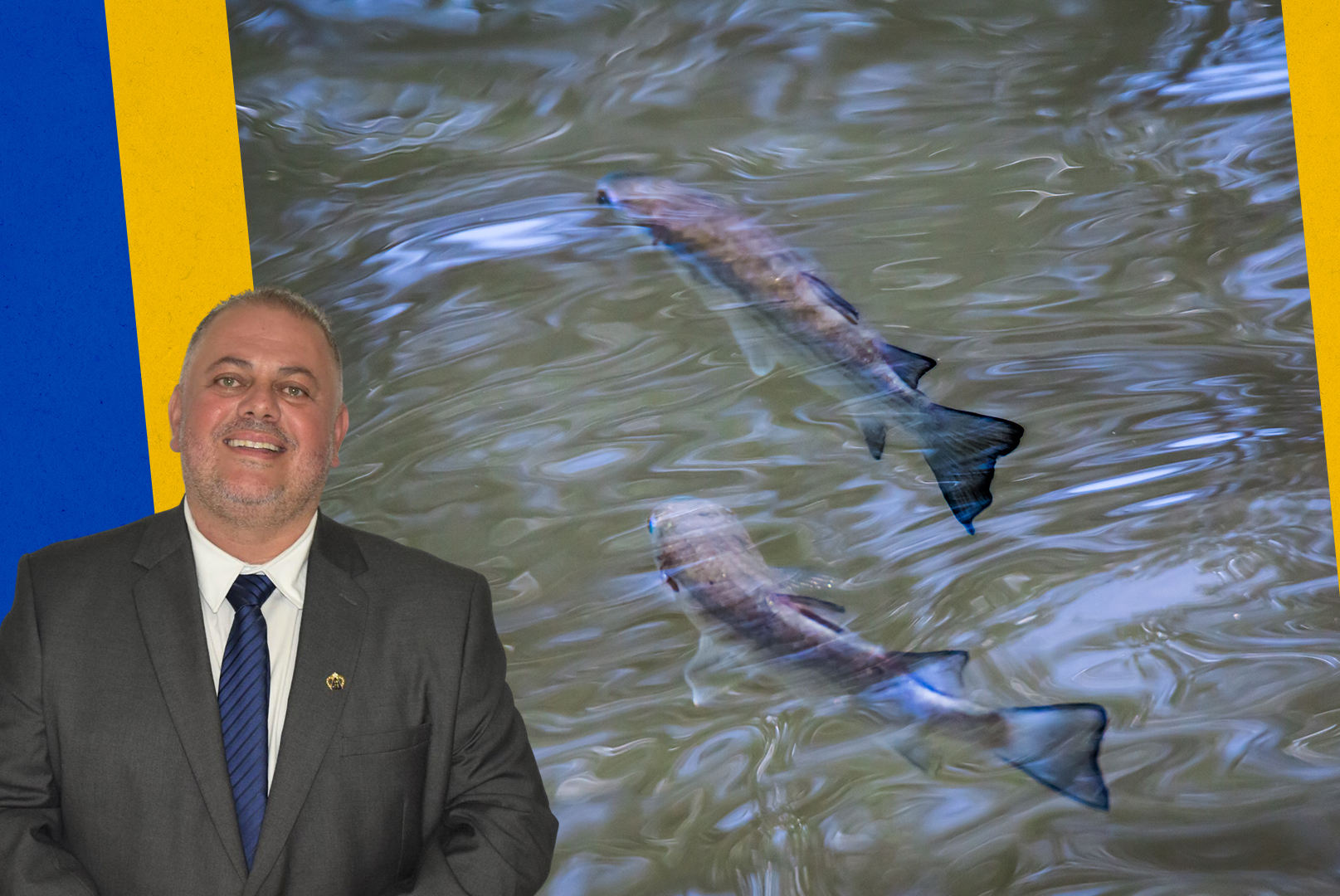 Projeto de lei reforça combate à pesca irregular