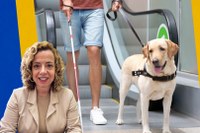 Projeto de Lei reforça direitos de pessoas com deficiências acompanhadas por cães de assistência