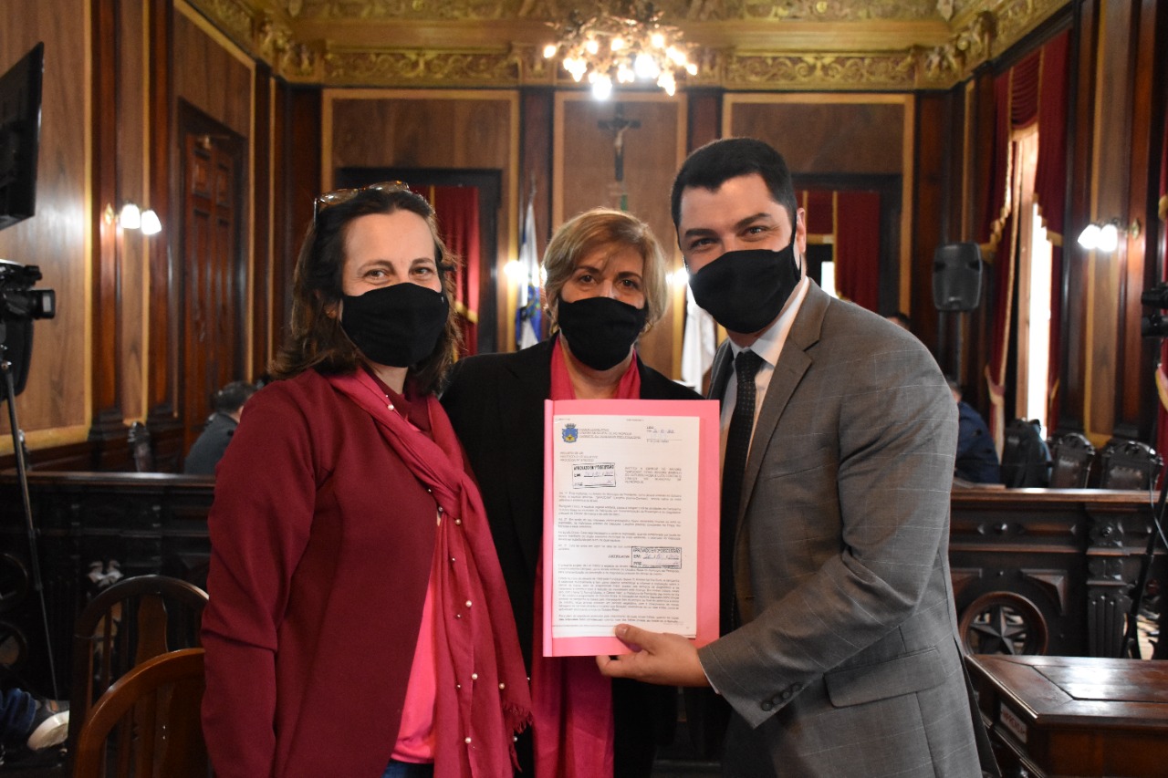 Projeto institui árvore Sapucaia como símbolo do Outubro Rosa