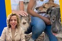 Projeto promove “Abril Laranja” em Petrópolis e reforça combate à crueldade contra os animais