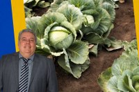 Vereador propõe ao Executivo a criação de "Programa Municipal de Incentivo ao Produtor Rural" e do "Selo Boas Práticas Agropecuárias em Petrópolis"