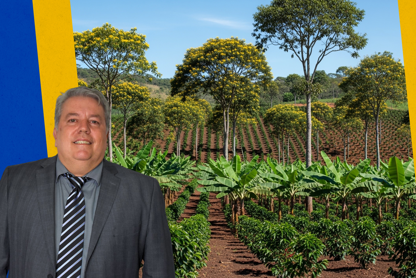 Vereador propõe programa de incentivo a sistemas agroflorestais em Petrópolis