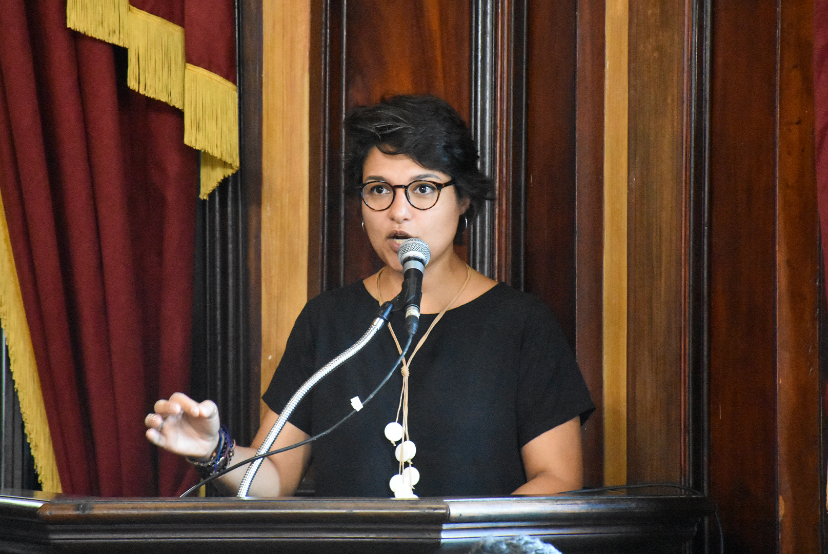 Vereadora emite Moção de Repúdio ao apagamento dos murais do projeto "Memórias Urbanas"