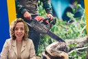 Vereadora propõe Programa de Aproveitamento de Madeira de Podas de Árvores em Petrópolis